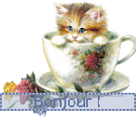 blog comprennent  des blinkins de tous genresmes creation  gifs et mes creation toute simple